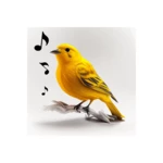 Logo of Bird Calls, Sounds & Ringtones android Application 