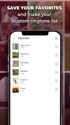 Bird Calls, Sounds & Ringtones android App screenshot 2